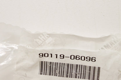 OEM Yamaha 90119-06096-00 Bolt w/ Hole NOS
