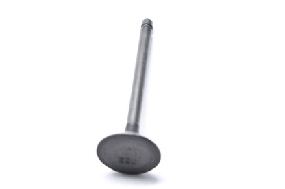 OEM Yamaha 22U-12121-01-00 Exhaust Valve #1 NOS