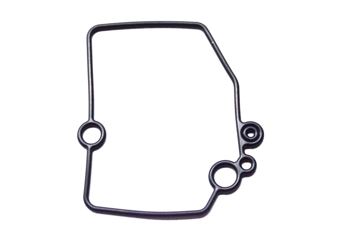 Float Chamber Gasket NOS