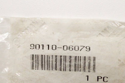 New OEM Yamaha 90110-06079-00 Hexagon Socket Bolt NOS