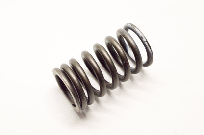 OEM Yamaha 22U-12113-00-00 Inner Valve Spring NOS