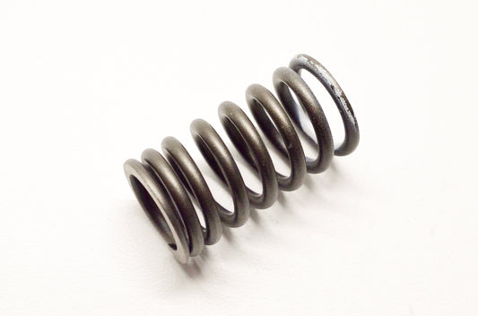 OEM Yamaha 22U-12113-00-00 Inner Valve Spring NOS