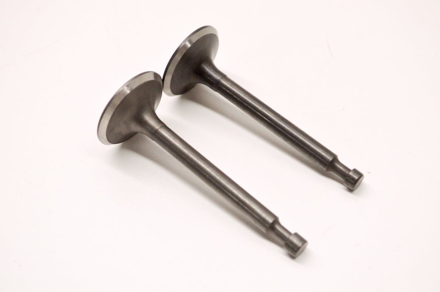 Water Cannon 42.0271 Intake Exhaust Valve Kit NOS