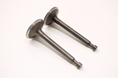 Water Cannon 42.0271 Intake Exhaust Valve Kit NOS