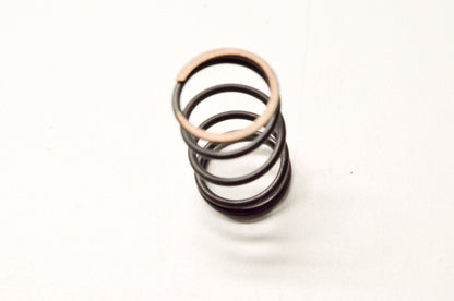 Aftermarket PR-212-54 Valve Spring NOS