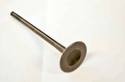 OEM Polaris 3022415 Exhaust Valve NOS