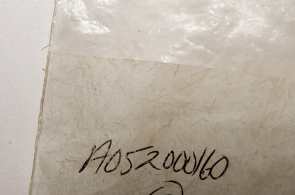 OEM Echo A052000160 Starter Pawl Assembly NOS
