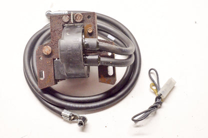 OEM Briggs & Stratton 394891 Armature Magneto