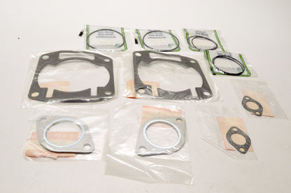 OEM Arctic Cat 0636-884 Prowler Special Gasket Kit 440-AM444 NOS