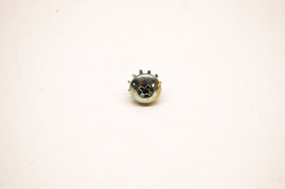OEM Polaris 7511953 Screw w/ Star Washer NOS