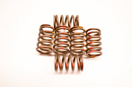 Clutch Factory KGS-048 Clutch Spring Kit NOS