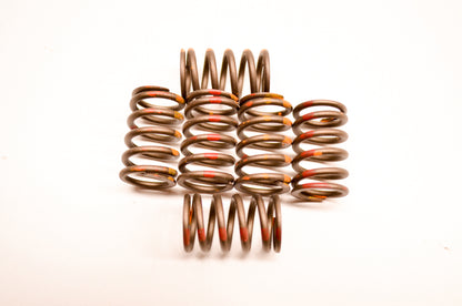 Clutch Factory KGS-048 Clutch Spring Kit NOS