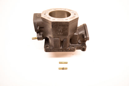 OEM Arctic Cat 3003-695 Cylinder NOS