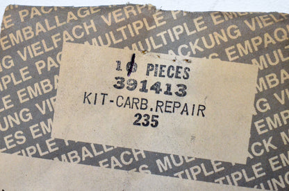 OEM Briggs & Stratton 391413 Carburetor Repair Sealing Pins Qty 11 NOS