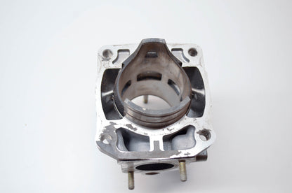 OEM Polaris EC80PL Cylinder