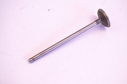 Wisconsin AE-76-E Valve NOS