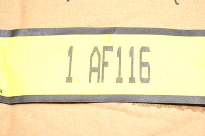 Hastings AF116 Air Filter Kit NOS