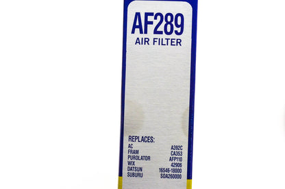Hastings AF289 Air Filter NOS