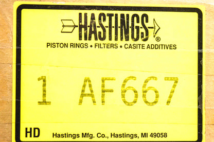 Hastings AF667 Air Filter Kit NOS