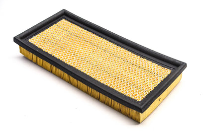 Hastings AF989 Air Filter NOS