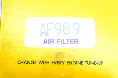 Hastings AF989 Air Filter NOS