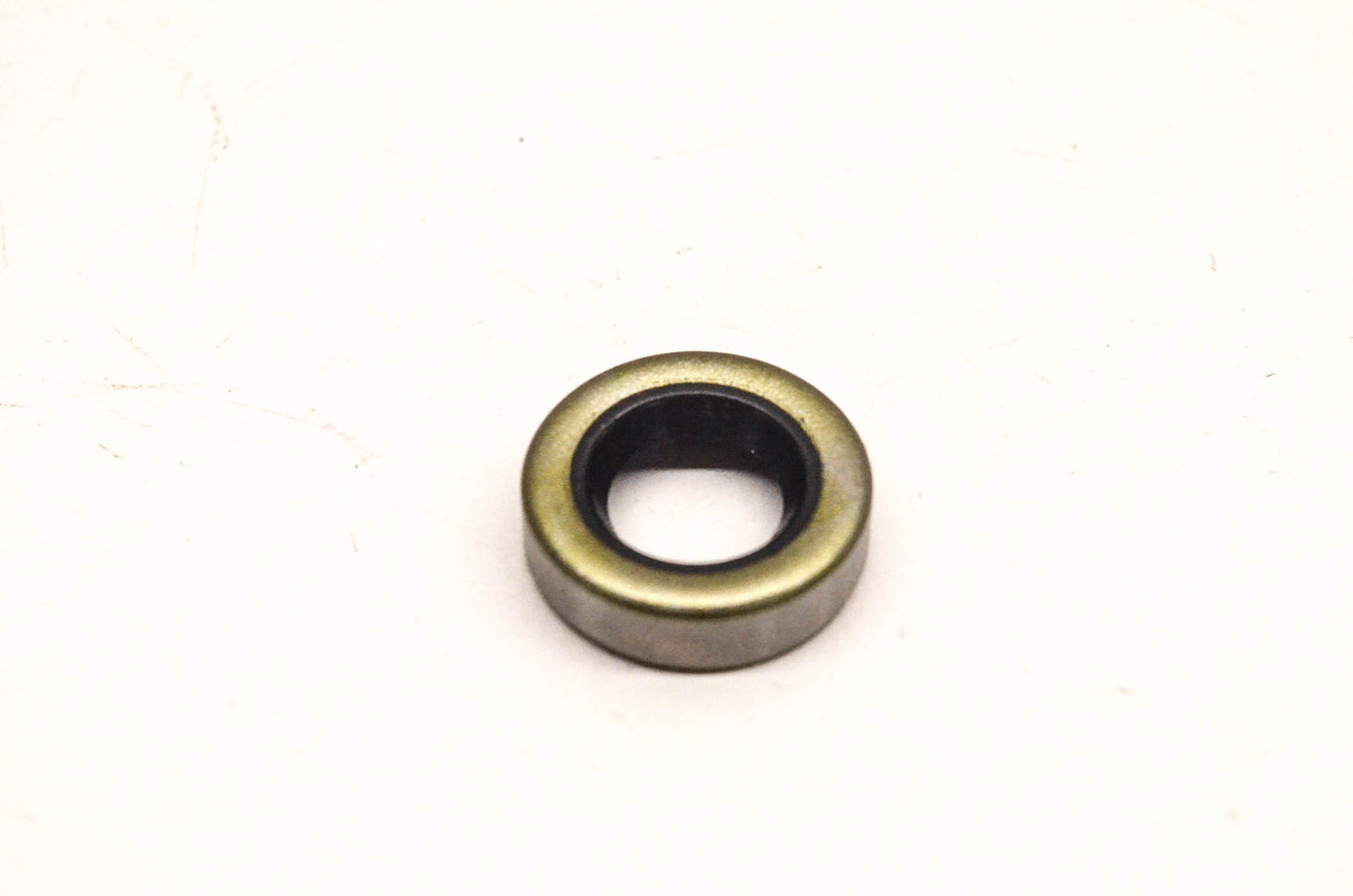 Sierra 18-2025, 318972 Oil Seal NOS