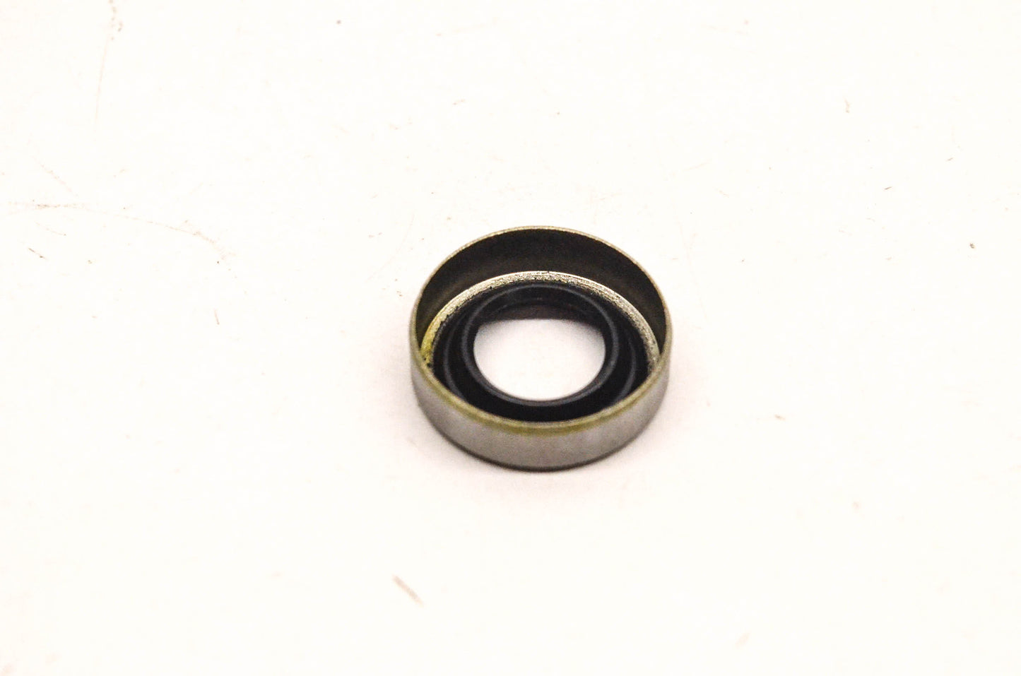 Sierra 18-2025, 318972 Oil Seal NOS