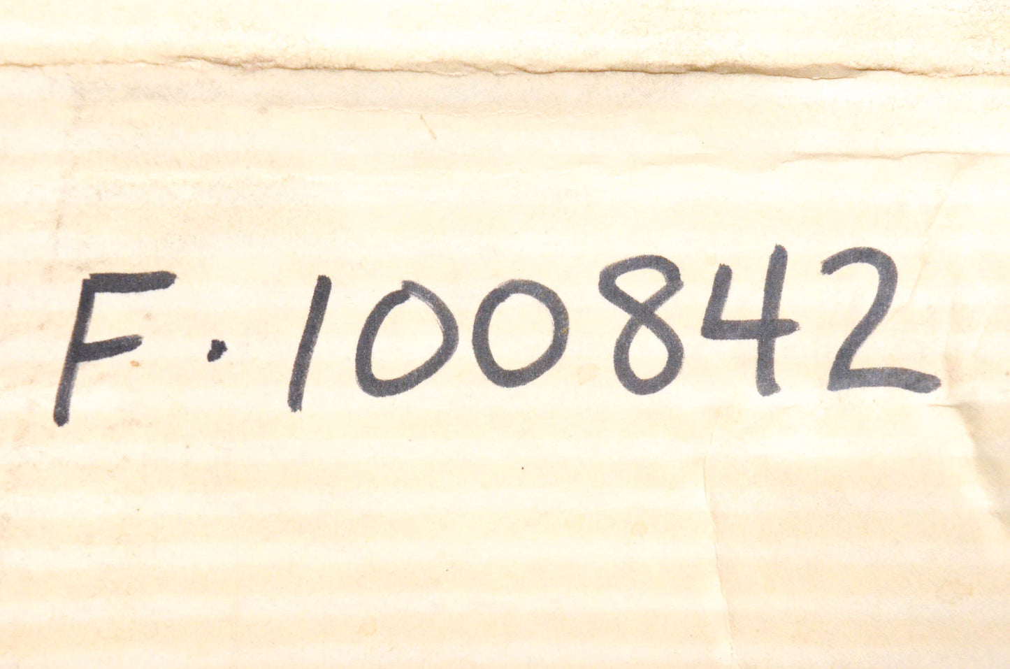 Wagner F100842 Master Brake Cylinder Assembly NOS