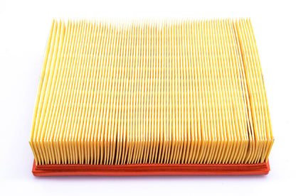 Hastings AF66 Air Filter NOS