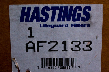 Hastings AF2133 Air Filter Kit NOS