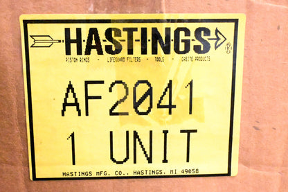 Hastings AF2041 Air Filter Kit NOS