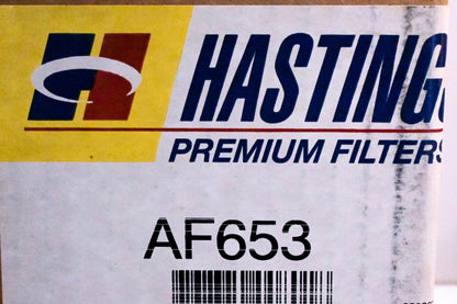 Hastings AF653 Air Filter Kit NOS