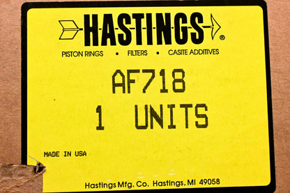 Hastings AF718 Air Filter NOS