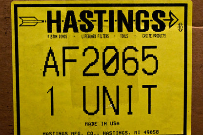 Hastings AF2065 Air Filter NOS