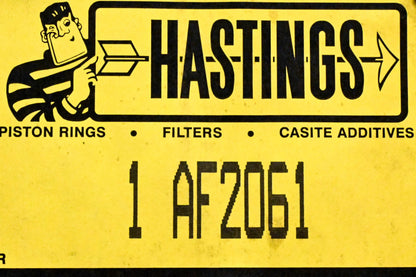 Hastings AF2061 Air Filter NOS