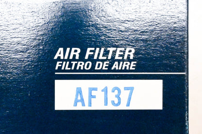 Hastings AF137 Air Filter NOS