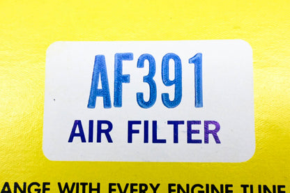Hastings AF391 Air Filter NOS
