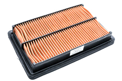 Hastings AF411 Air Filter NOS