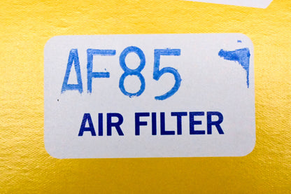 Hastings AF85 Air Filter NOS