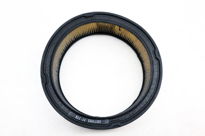 Hastings AF278 Air Filter NOS