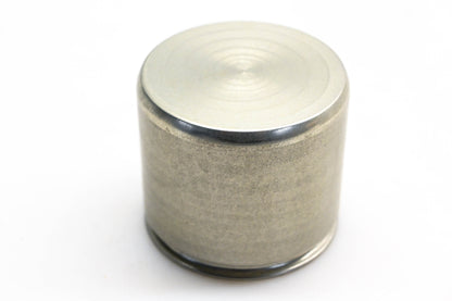 Dayton 99980, 69270621 Caliper Piston NOS