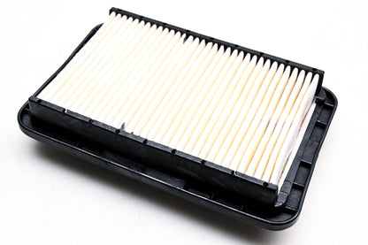 Hastings AF861 Air Filter NOS