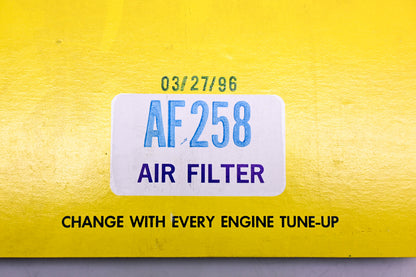 Hastings AF258 Air Filter NOS