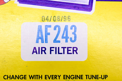 Hastings AF243 Air Filter NOS