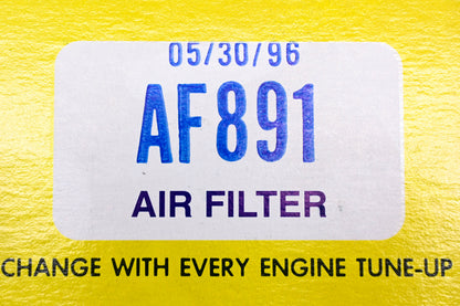 Hastings AF891 Air Filter NOS