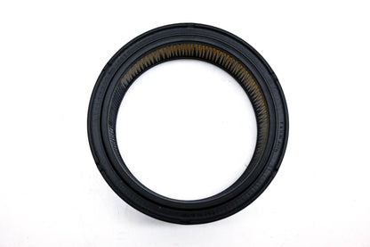 Hastings AF769 Air Filter NOS