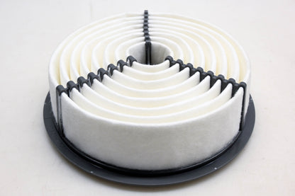 Hastings AF894 Air Filter NOS