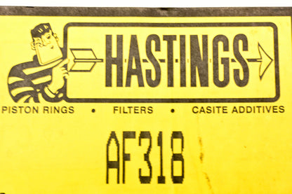 Hastings AF318 Air Filter NOS