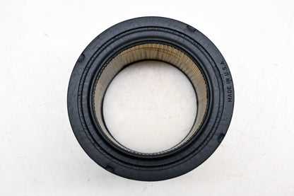 Hastings AF379 Air Filter NOS
