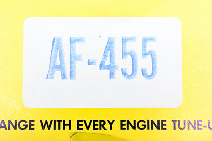 Hastings AF455 Air Filter NOS